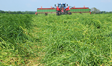 Grass-growing strategies for an era of change